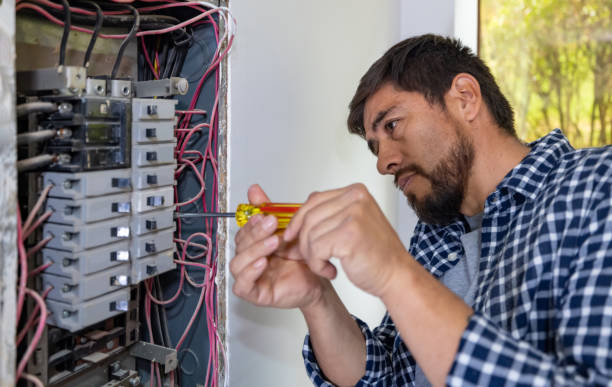 Best Generator Installation Services  in Big Le, AK